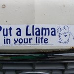 Bumper sticker on the "llama-sine" van
